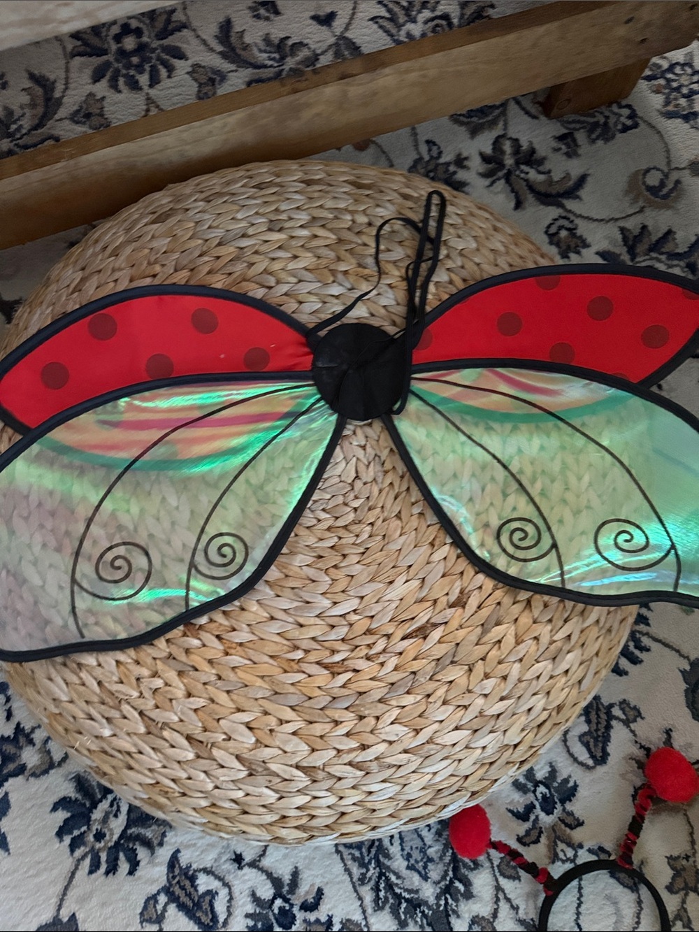Kids Ladybug Wings Costume in Red and Iridescent Green